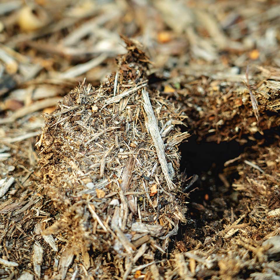 Hydrophobic mulch repelling water