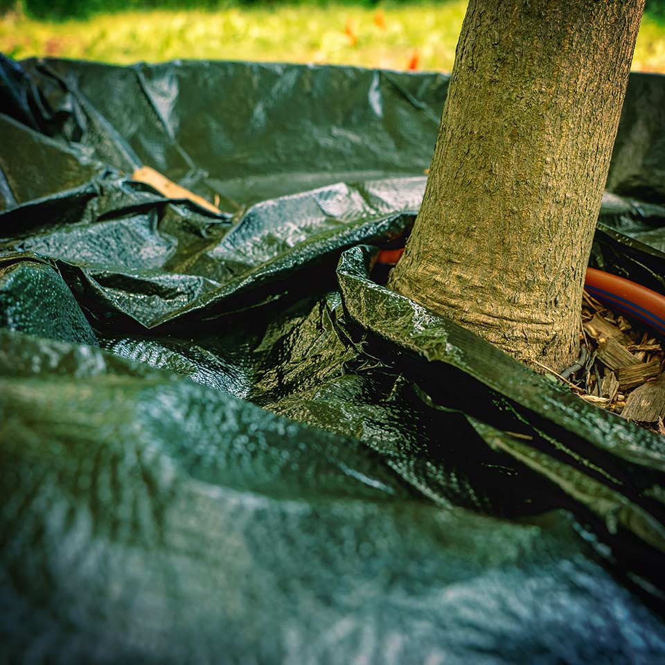 Plastic mulch