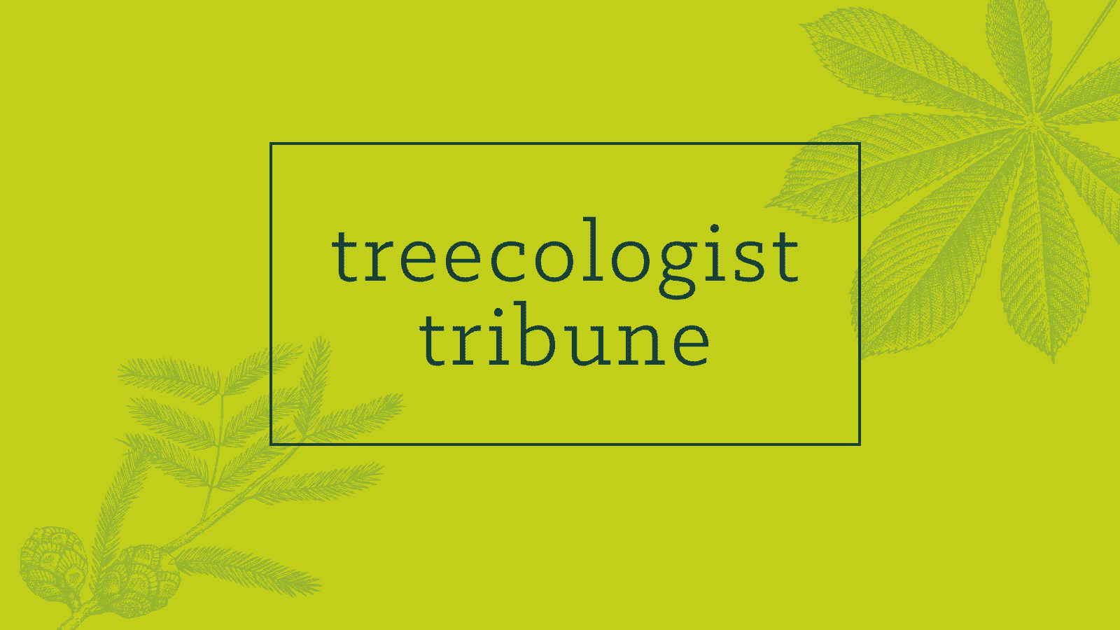 The Treecologist Tribune newsletter header with tree care insights.