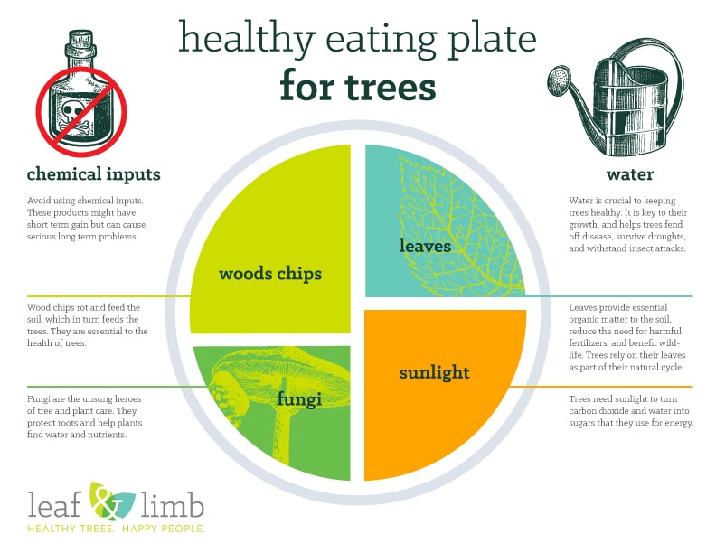 Welcome to the MyPlate New Year's Challenge