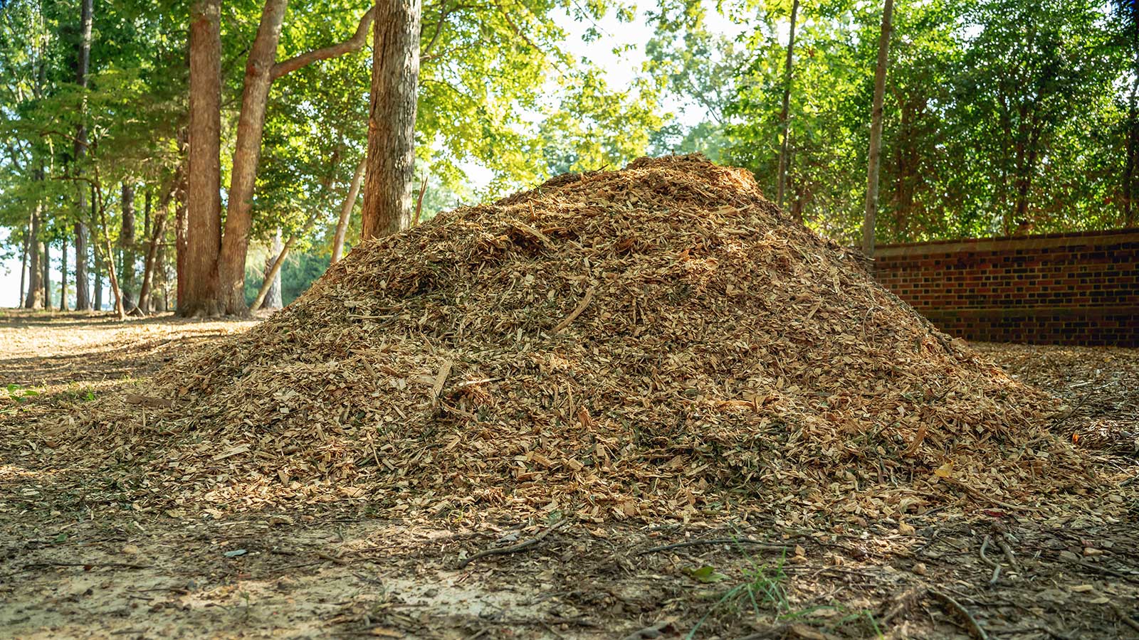 Why to make your own wood chips 
