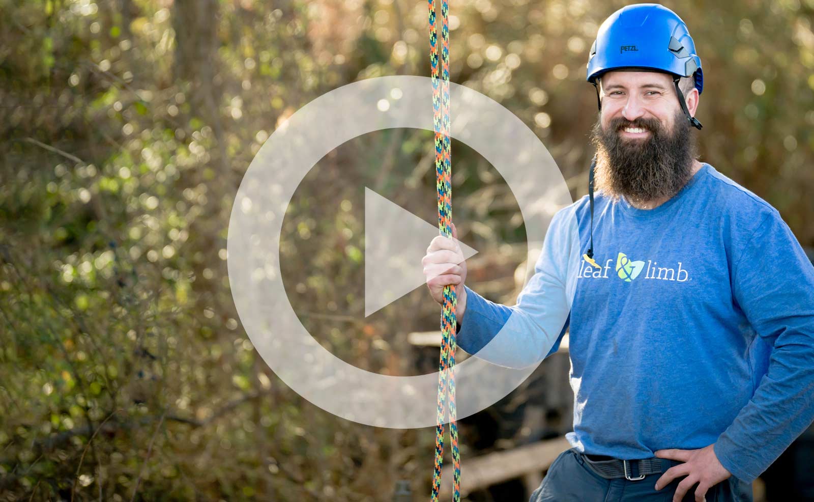 Video  Climbing with Archie: How to Climb a Tree Like an Arborist - Leaf &  Limb